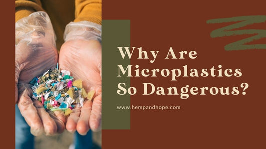 Why Are Microplastics So Dangerous? 