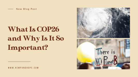 What Is COP26 and Why Is It So Important?