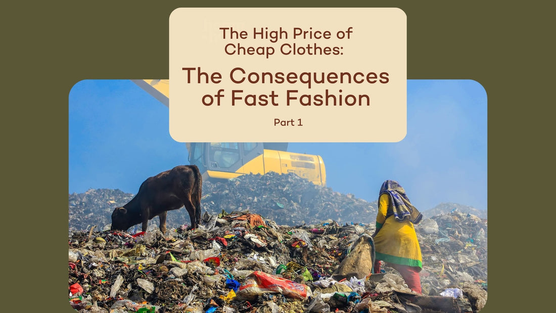 The High Price of Cheap Clothes: The Consequences of Fast Fashion