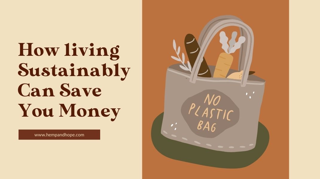 How Living Sustainably Can Save You Money